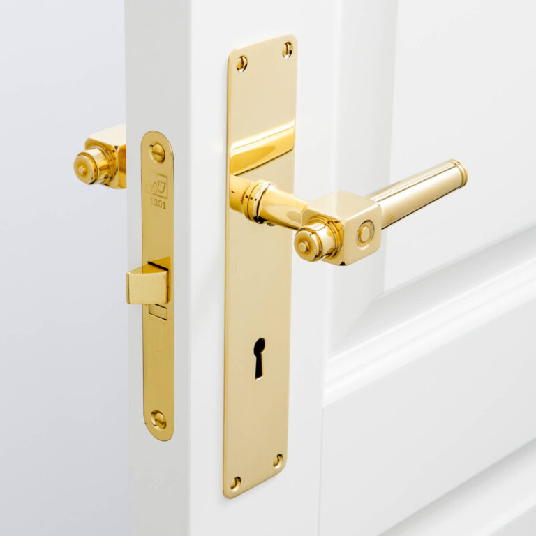 Brass Door handle on backplate - BROWN